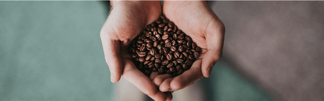 Coffee beans hold in hands